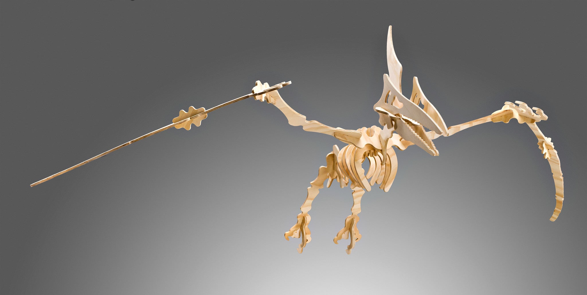 Pterodactyl 3D Dinosaur Puzzle - Knifefish