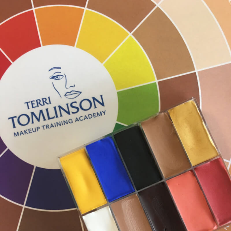 Terri Tomlinson Flesh Tone Color Wheel style image