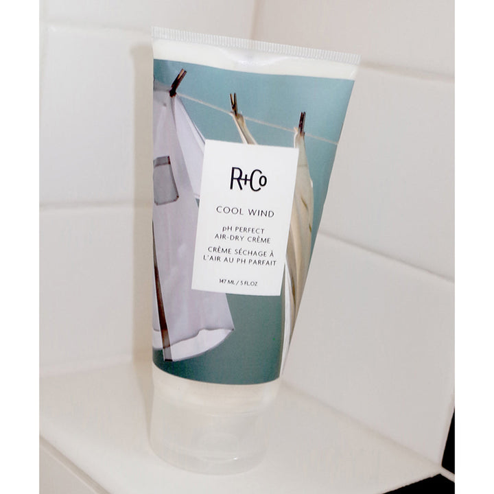 R+Co Cool Wind Ph Perfect Air Dry Crème style image