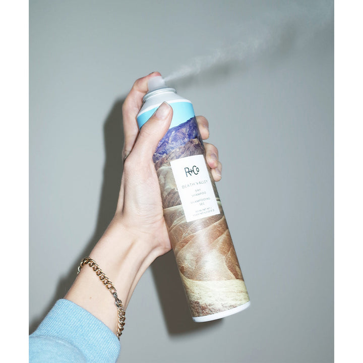 R+Co Death Valley Dry Shampoo style image