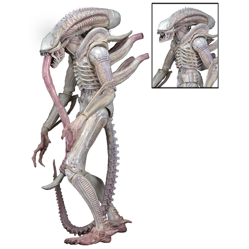 xenomorph figures