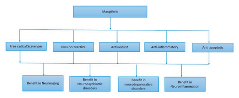 new mangiferin study chart