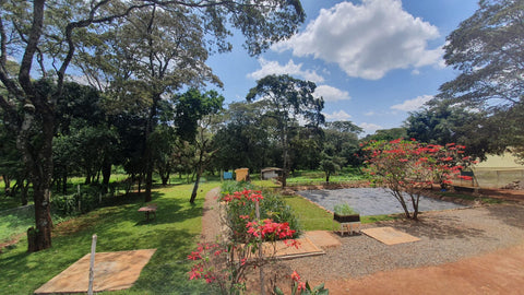 An image of the Giraffe Center in Nairobi, home to the hydroponic waste treatment system.