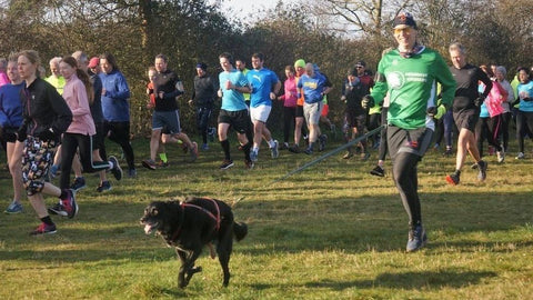 An image of a man running with a waist harness on, a black dog running in front of him on an attached lead. In the distance are other runners without dogs.