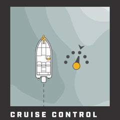 Advanced GPS Cruise control