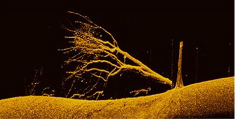 MEGA Down Imaging Transducer image