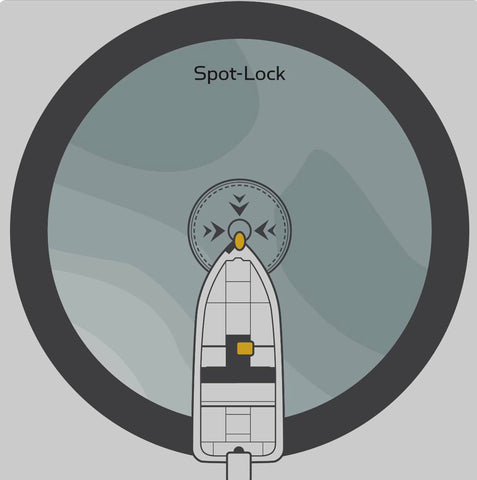Spot Lock Icon