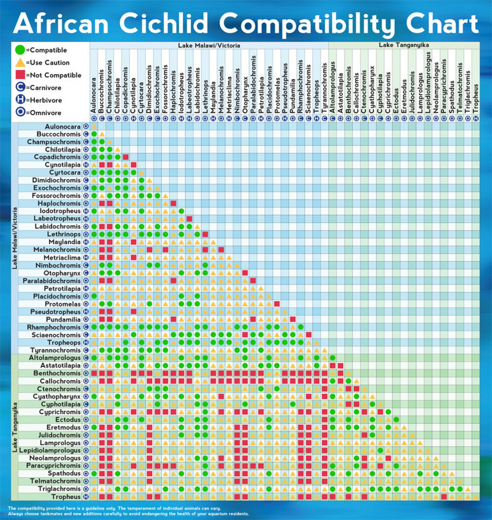 Tropical Fish Species Compatibility Chart