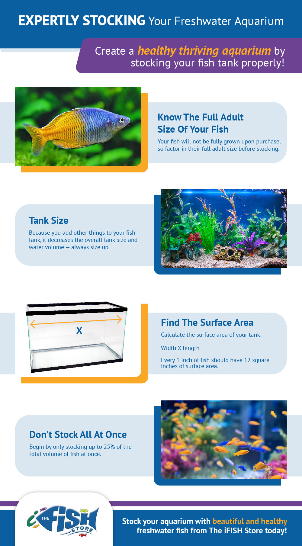 infographic about stocking a fish tank properly