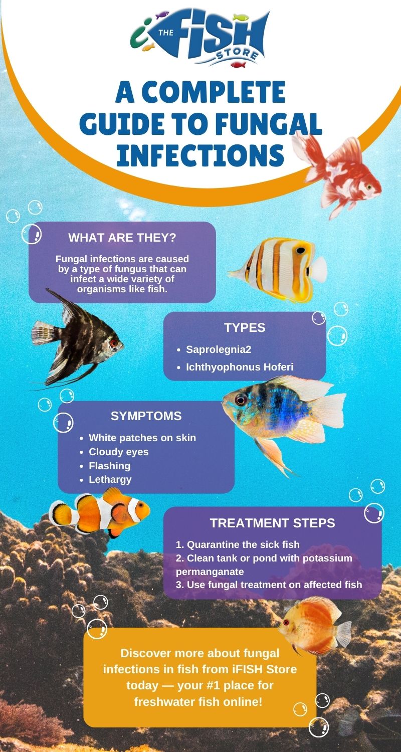 A Complete Guide To Fungal Infections Infographic