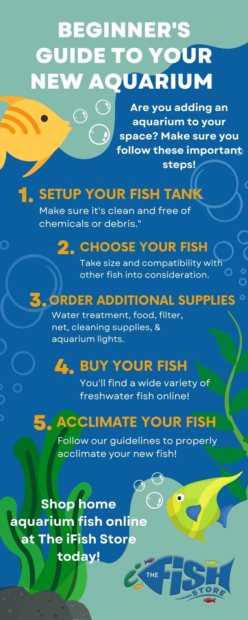 Beginner'S Guide To Your New Aquarium: How To Setup Your First Fish Ta –  The Ifish Store