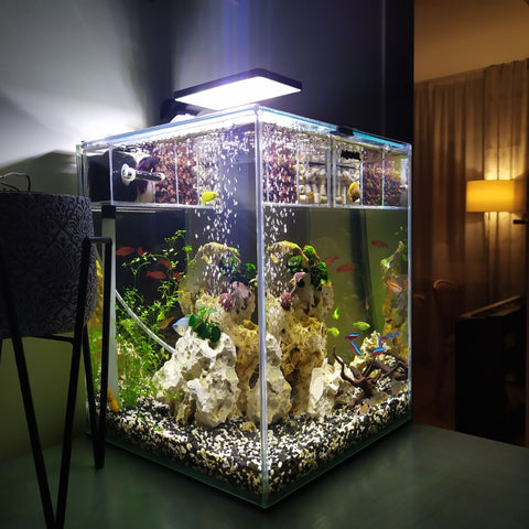 image of an aquarium in a home