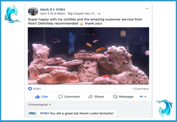 The iFISH Store Customer Testimonial