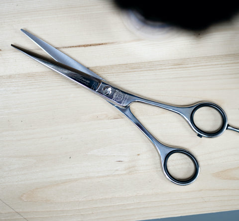 Kiepe Cut Line professional barber scissors