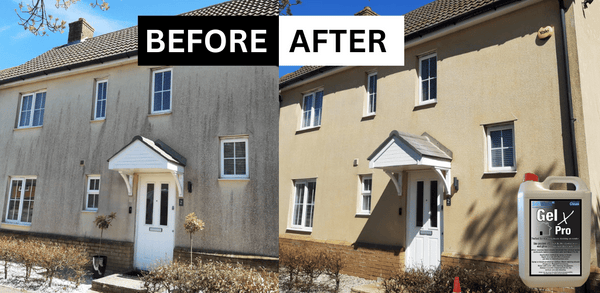 how to remove green algae from render