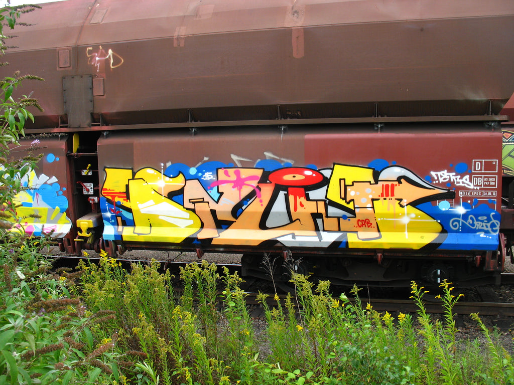 druid 81 bandit of the day graffiti 