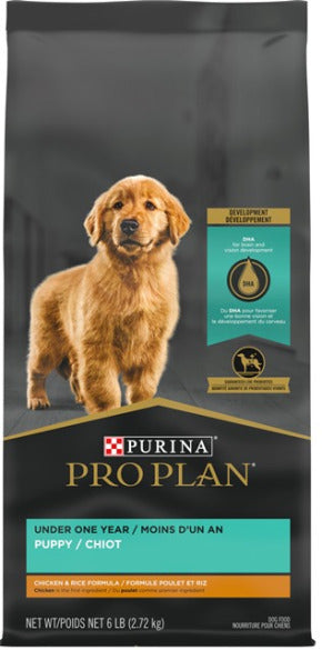 purina puppy chiot