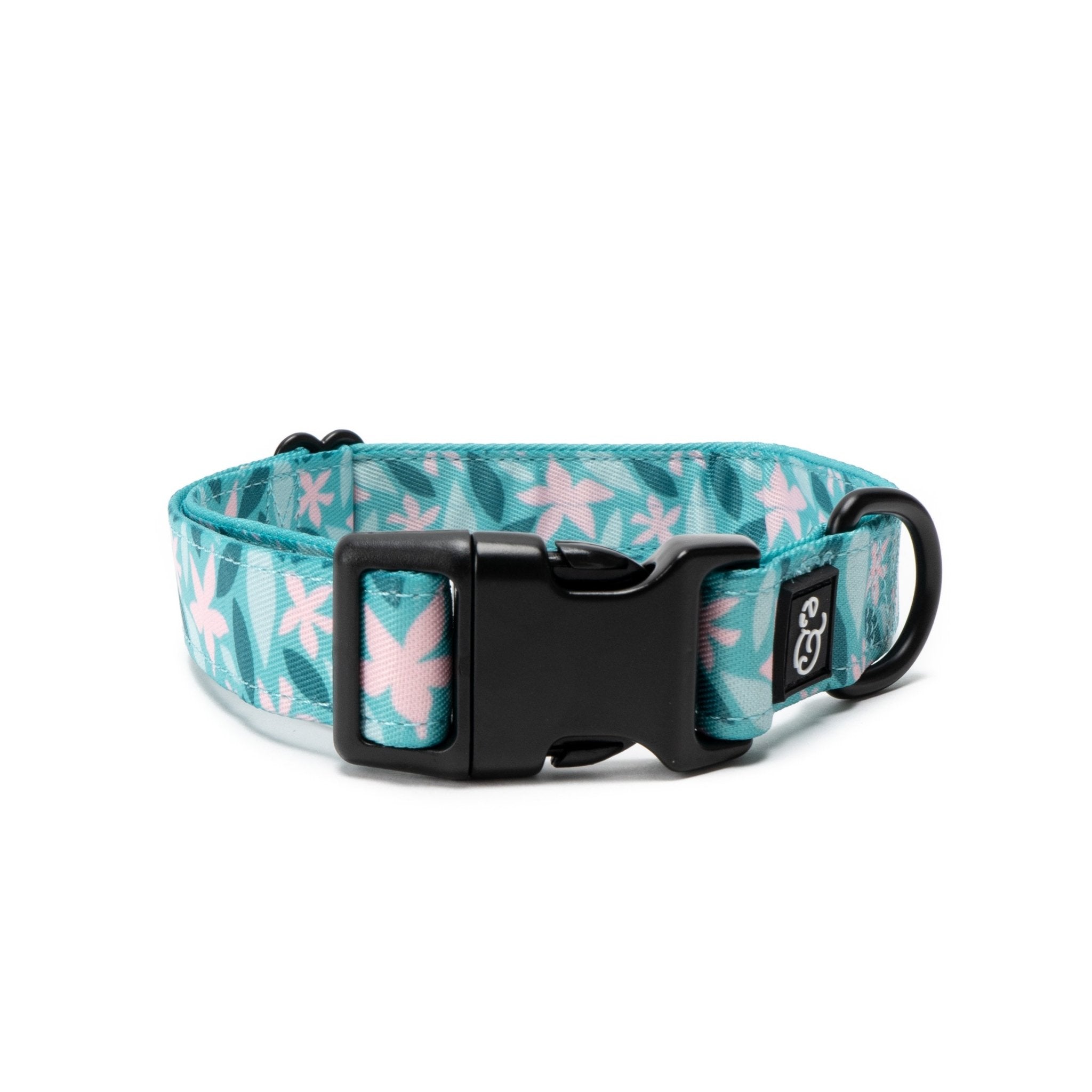 Pink Seattle Seahawks Dog Collar Leash or Set 