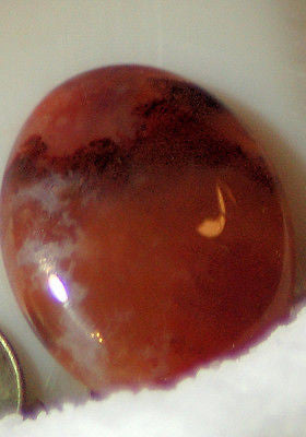 Carey Moss Agate Oval Cabochon 27.5 carats – Radiant Rocks CT