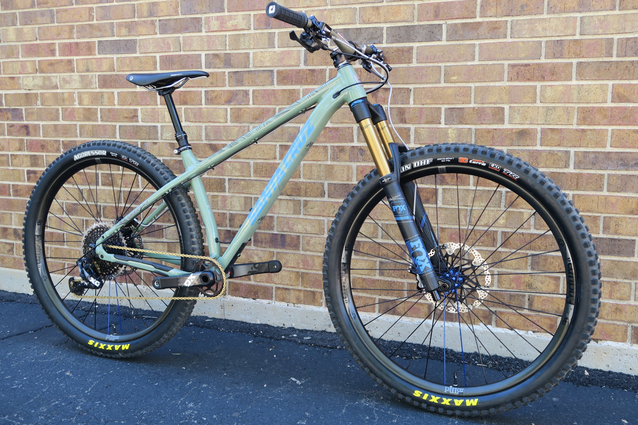 2018 chameleon santa cruz