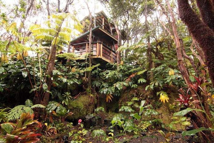 Treehouse at Kilauea Volcano