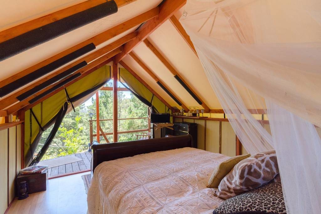 Malibu Safari Chic Tent