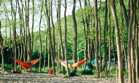 hammocks