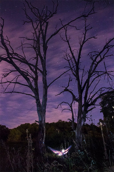 nighttime scene featuring a purple sky and a purple hammock