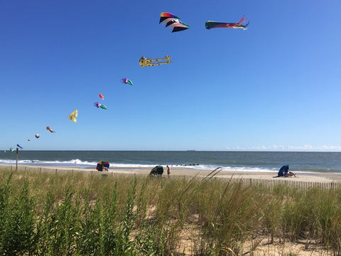 Kites being flown at Delaware Seashore State Park, Delaware