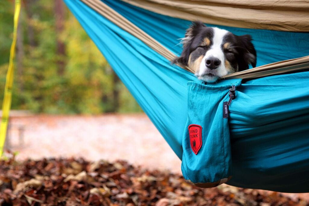 puppy hammock