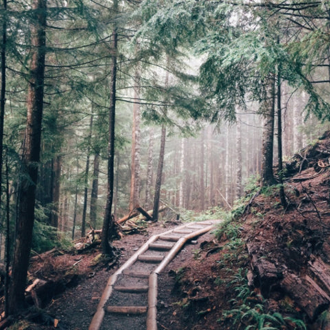 fresh air and exercise might help keeping the beardruff at bay