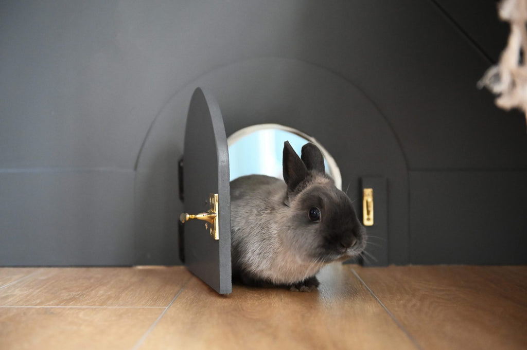 Bunny peeks from its mini hideaway designed by Vancouver based firm Fox and Thicket