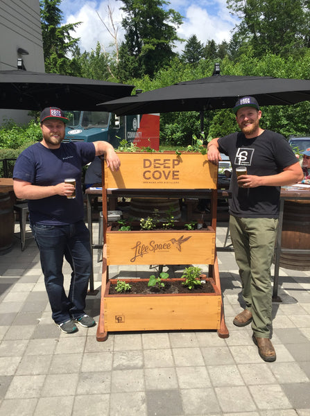 Self-Watering elevated deck, patio, and balcony garden. Cedar raised beds, container gardens, and veggie/vegetable gardens featuring GardenWell sub-irrigation to create wicking beds for growing your own food.