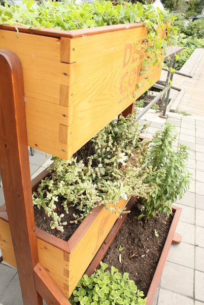 Self-Watering elevated deck, patio, and balcony garden. Cedar raised beds, container gardens, and veggie/vegetable gardens featuring GardenWell sub-irrigation to create wicking beds for growing your own food.