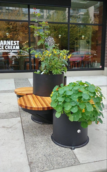 Self-Watering elevated restaurant garden. Cedar raised beds, container gardens, and veggie/vegetable gardens featuring GardenWell sub-irrigation to create wicking beds for growing your own food.