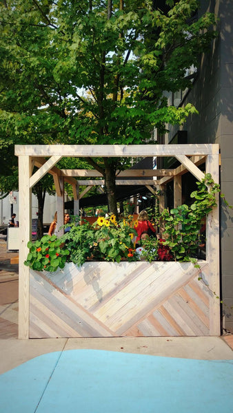 Self-Watering elevated restaurant garden. Cedar raised beds, container gardens, and veggie/vegetable gardens featuring GardenWell sub-irrigation to create wicking beds for growing your own food.