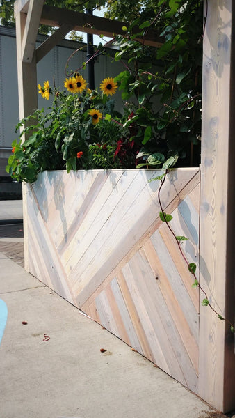 Self-Watering elevated restaurant garden. Cedar raised beds, container gardens, and veggie/vegetable gardens featuring GardenWell sub-irrigation to create wicking beds for growing your own food.