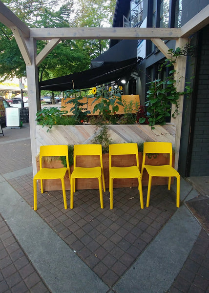 Self-Watering elevated restaurant garden. Cedar raised beds, container gardens, and veggie/vegetable gardens featuring GardenWell sub-irrigation to create wicking beds for growing your own food.