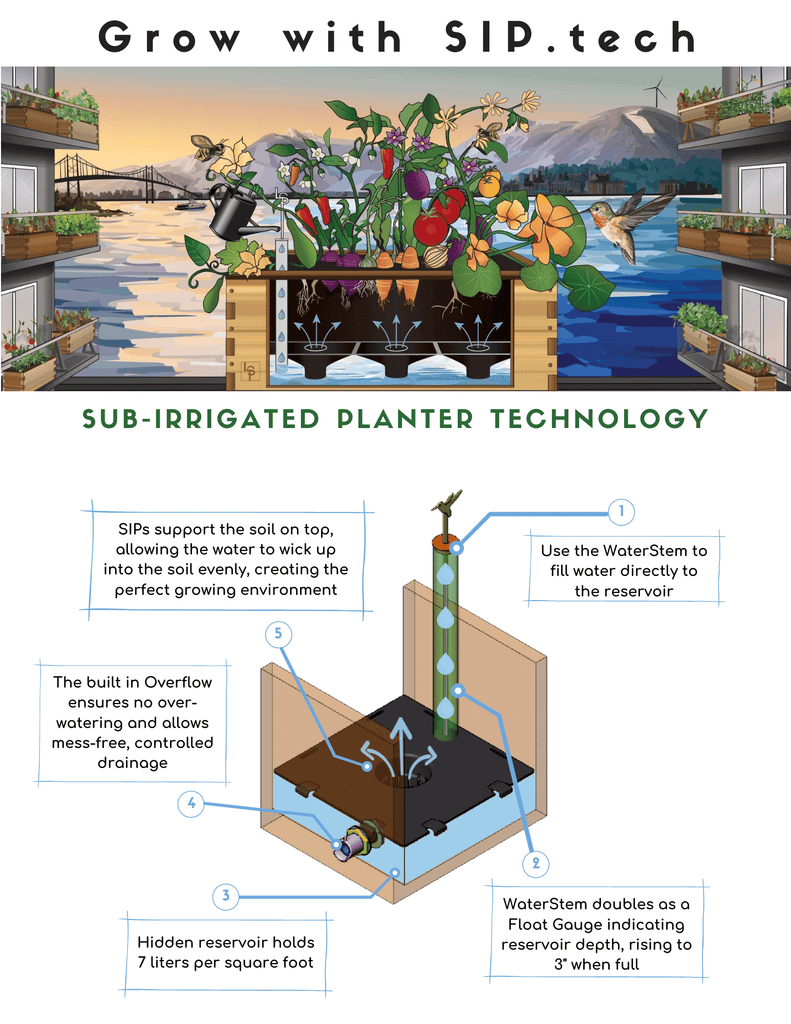 How a sub-irrigated selfwatering wicking bed works