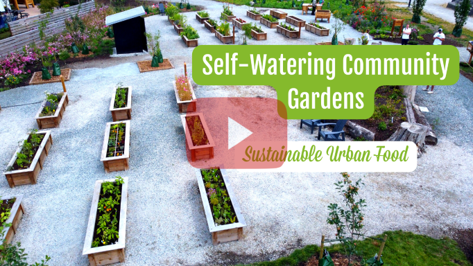 Sefl-Watering community garden