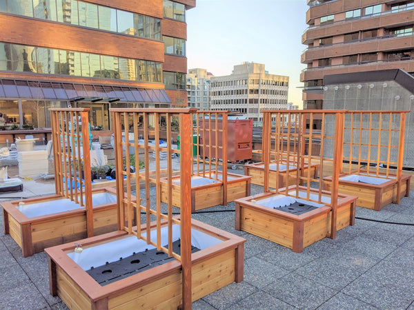 Self-watering rooftop garden