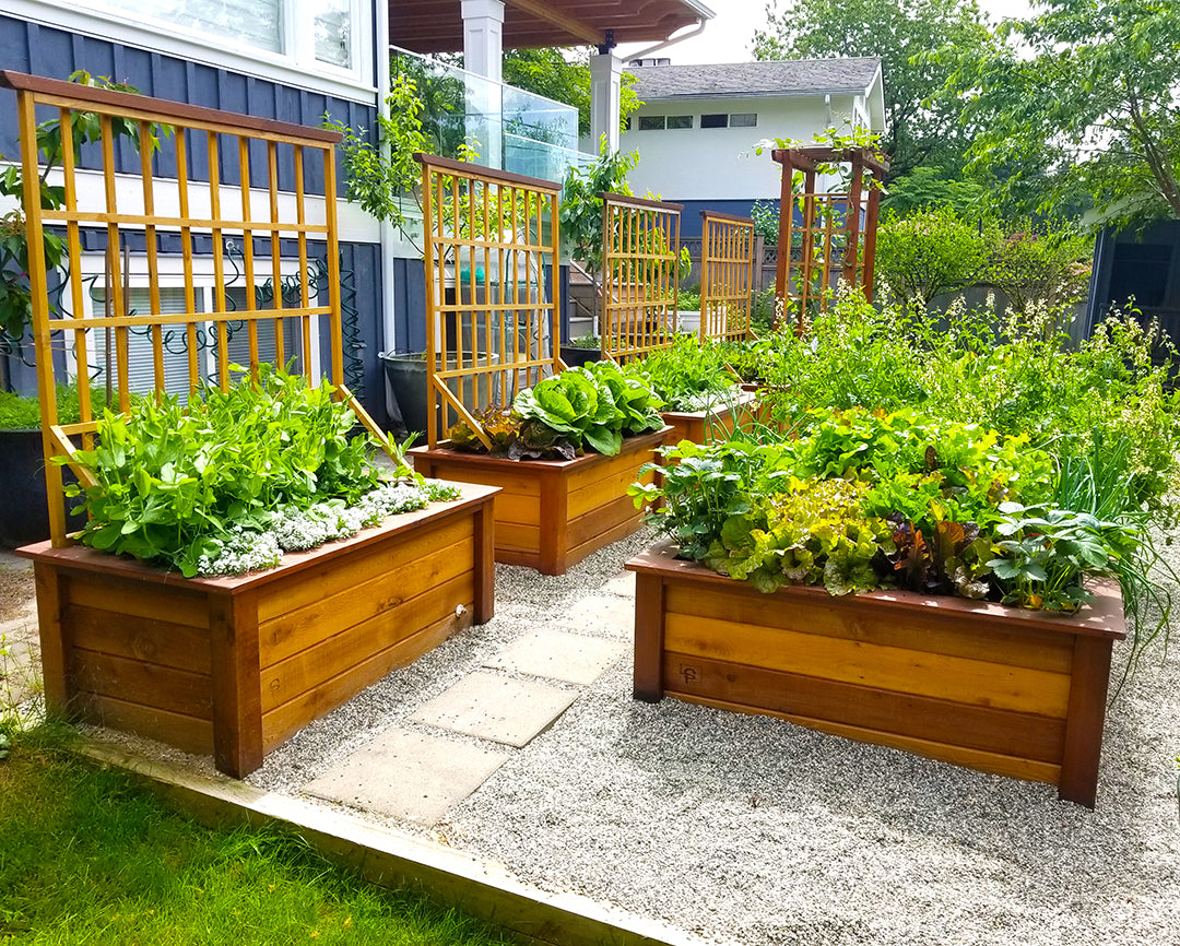 garden boxes