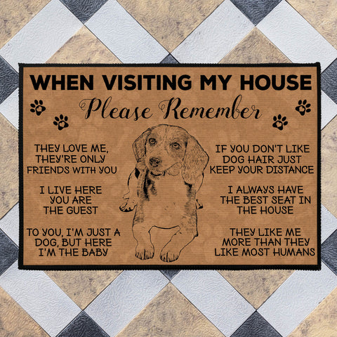 how do you welcome a dog in your house