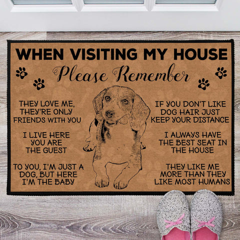 how do you welcome a dog in your house