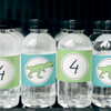 DIY or PRINTED Matching Water Bottle Labels