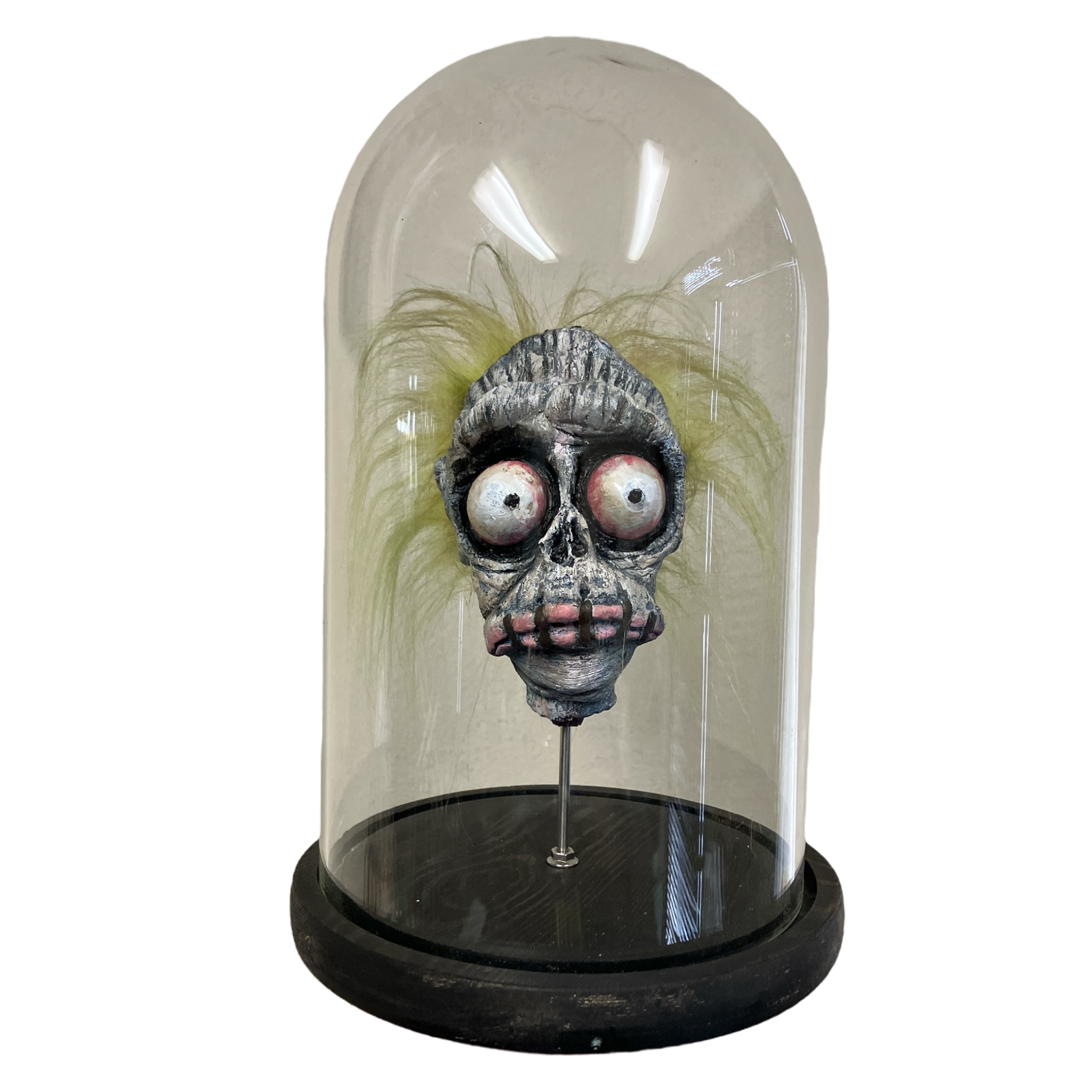 Bob Shrunken Head with Hair in Bell Jar