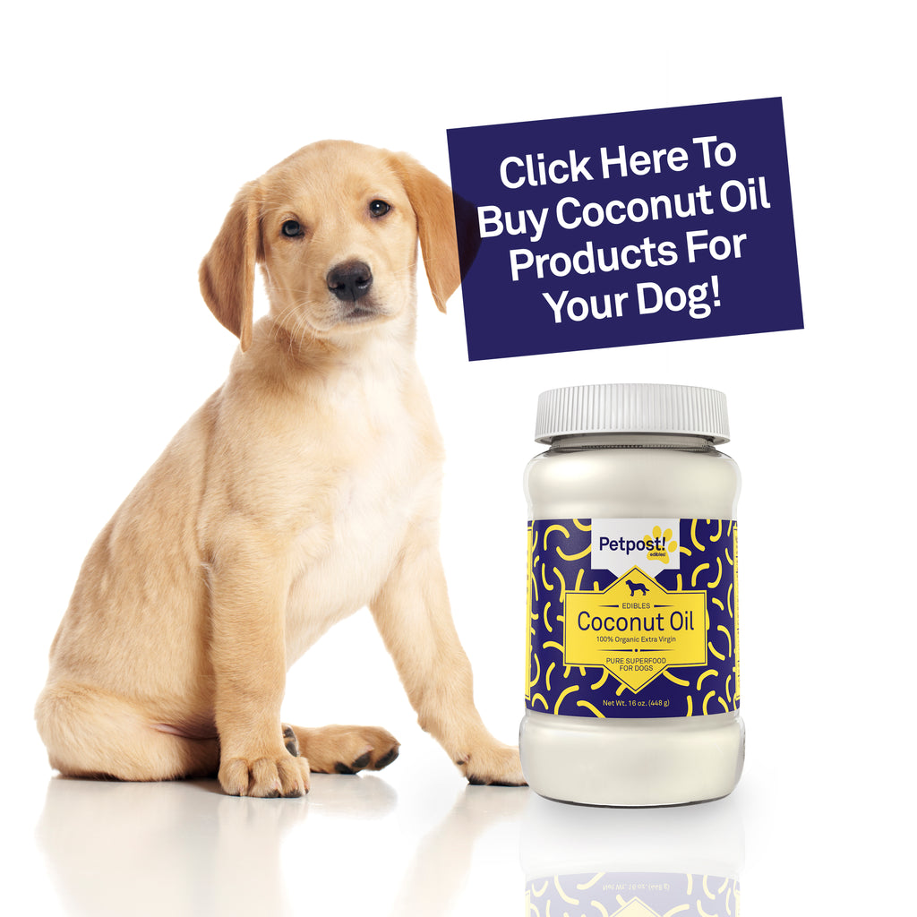 Shop Petpost Coconut Oil Products