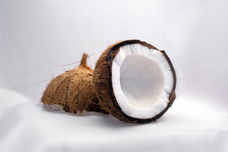Inside of a Coconut