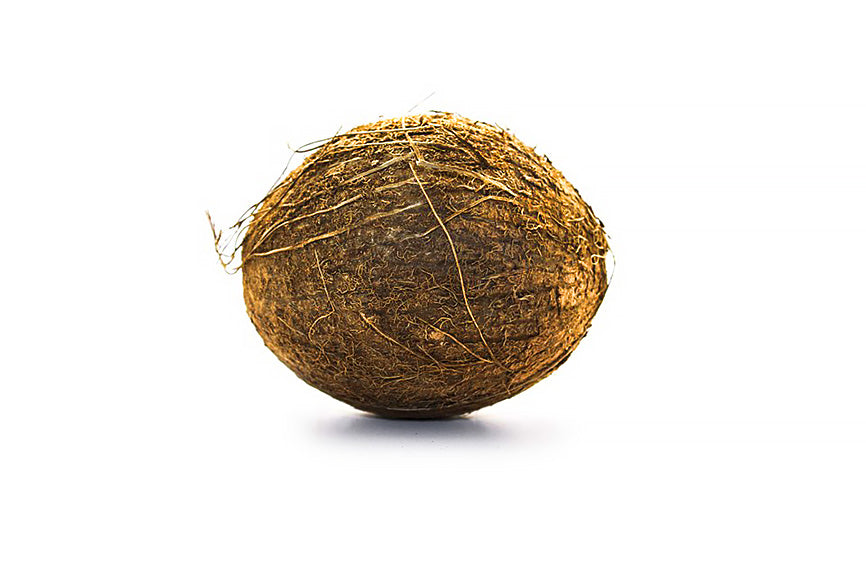 Single Coconut on White