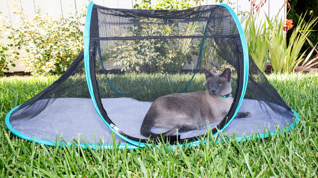 The Cat House Outdoor Pet Enclosure Nala And Company
